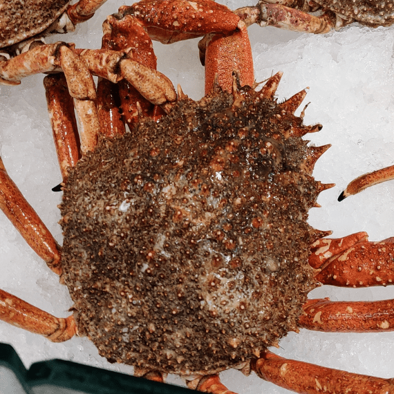 Araignee De Mer Male Poissonnerie Paon Livraison A Domicile