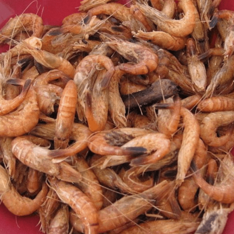 Crevettes grises France  Poissonnerie Paon & livraison à domicile